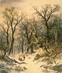 Het bos